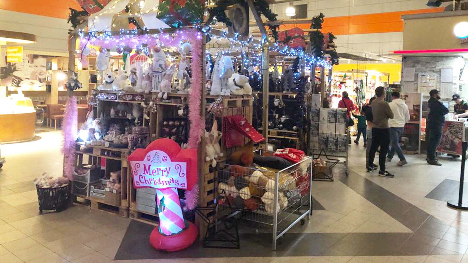 scan-blog-header-november