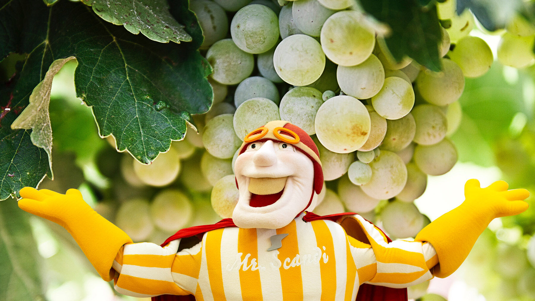 scan-blog-header-september